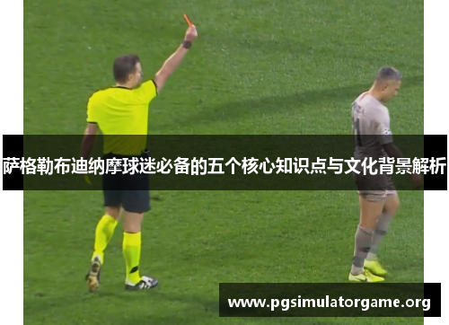 萨格勒布迪纳摩球迷必备的五个核心知识点与文化背景解析