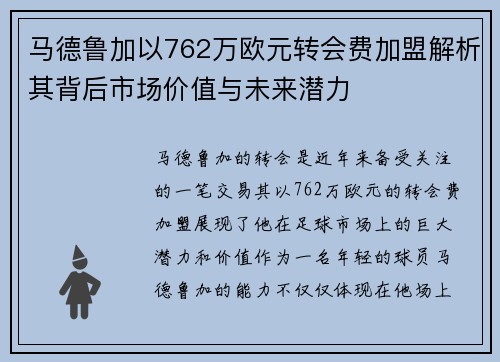 马德鲁加以762万欧元转会费加盟解析其背后市场价值与未来潜力